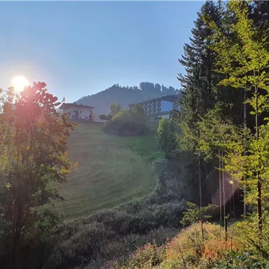 A picturesque landscape with gentle hills and trees in the foreground. The sun rises and softly illuminates the scene.