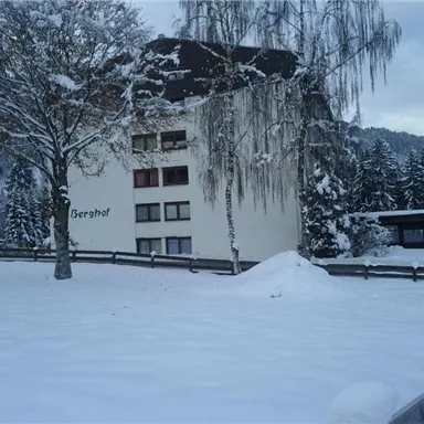 A snow-covered lot with a building. Surrounded by tall, green trees and a peaceful winter landscape.
