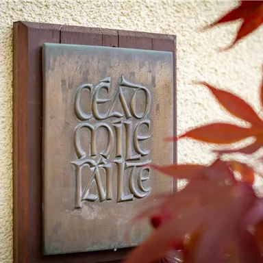 Ein bronzefarbenes Schild mit der Aufschrift "Cead Mile Failte" ist an einer Wand befestigt. Im Vordergrund sind einige rote Blätter zu sehen.