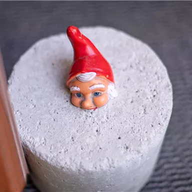 Eine kleine Gartenzwergefigur mit rotem Hut sitzt auf einem grauen Betonblock. Der Zwerg hat ein freundliches Gesicht und blickt neugierig.