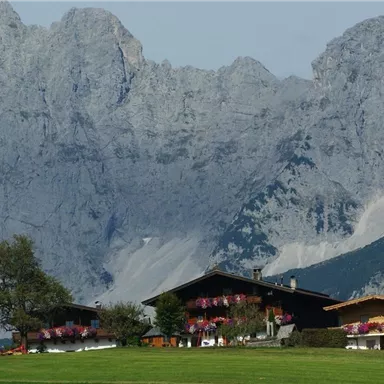 A picturesque farmhouse surrounded by lush greenery and colorful flowers. In the background, majestic mountains rise under a clear sky.