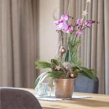 Ein Tisch mit einem dekorativen Blumenarrangement in einem Topf. Im Hintergrund sind Vorhänge und Stühle zu sehen.