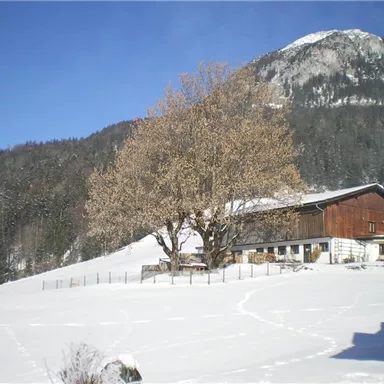A snowy landscape with a large tree and traditional wooden houses. In the background, mountains can be seen under a clear sky.