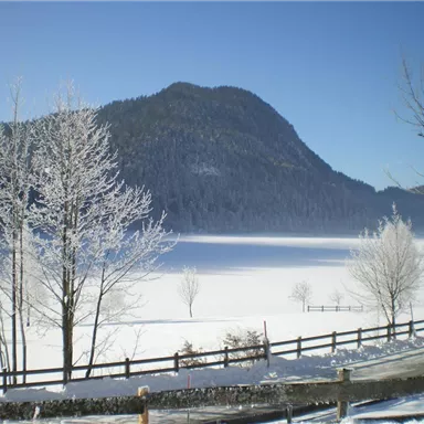 A snowy landscape with a frozen lake and snow-covered trees. In the background, gentle hills are visible under a clear blue sky.