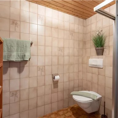 A bathroom with tiled walls and a wooden ceiling. There is a shower, a toilet, and a shelf with towels.