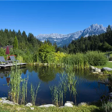 Ein schöner Teich umgeben von grüner Vegetation und Bergen im Hintergrund. Sonnenliegen mit Sonnenschirmen laden zum Entspannen ein.