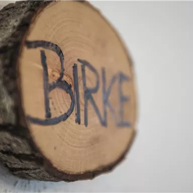 Ein Holzscheit mit der Aufschrift „BIRKE“. Das Stück Holz hat eine natürliche Rinde und eine klare, geölte Oberfläche.