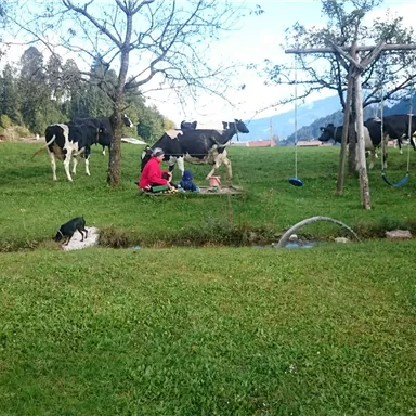 An idyllic meadow with grazing cows and a child playing on the ground. In the background, trees and a slide are visible.