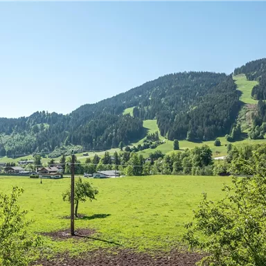 Eine grüne Landschaft mit sanften Hügeln und einem klaren blauen Himmel. Im Vordergrund stehen Bäume und vereinzelt Häuser.