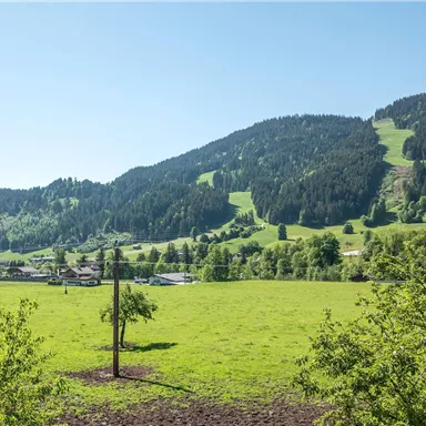 A green landscape with gentle hills and a clear blue sky. In the foreground, there are trees and scattered houses.