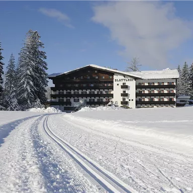 Ein charmantes Hotel umgeben von verschneiten Bäumen. Eine gut präparierte Loipe führt direkt zum Gebäude.