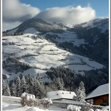 Eine winterliche Landschaft mit schneebedeckten Hügeln und Bäumen. Im Hintergrund ragen die Berge unter einem blauen Himmel.