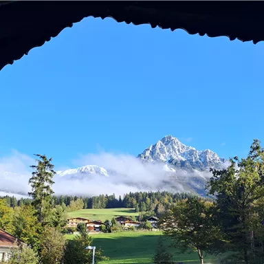 Ein malerischer Blick auf schneebedeckte Berge unter klarem, blauem Himmel. Im Vordergrund befinden sich grüne Wiesen und Bäume.