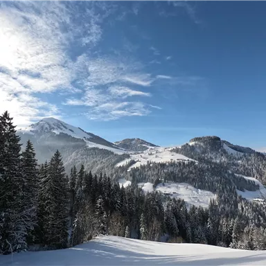 Eine winterliche Landschaft mit schneebedeckten Bergen und Nadelbäumen. Der Himmel ist klar und blau, mit einigen Wolken.