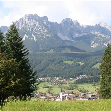 Eine malerische Landschaft mit hohen Bergen und einem kleinen Dorf im Vordergrund. Die Bäume und Wiesen verleihen der Szenerie eine ruhige Atmosphäre.