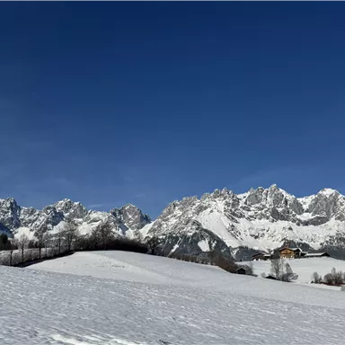 A winter landscape with snow-covered mountains and a blue sky. In the foreground, there are gentle hills and a few trees.