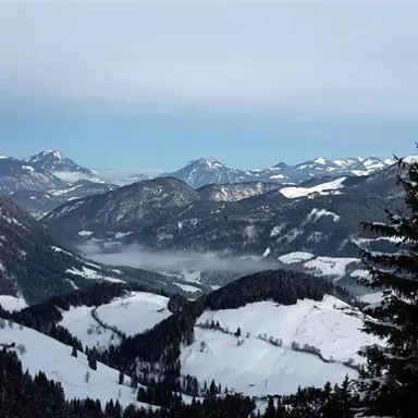 Eine winterliche Berglandschaft mit schneebedeckten Gipfeln und tiefen Tälern. Der Himmel ist leicht bewölkt, und Nebel liegt sanft über den Tälern.