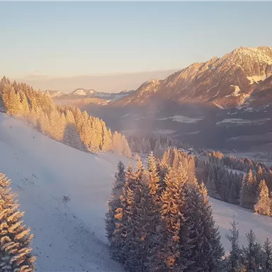 A snow-covered mountain landscape at sunrise. The trees are enveloped in golden light, while the peaks are visible in the background.