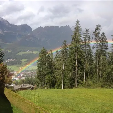 Ein schöner Regenbogen spannt sich über die Berge und Wälder. Im Vordergrund sind grüne Wiesen und einige Häuser sichtbar.