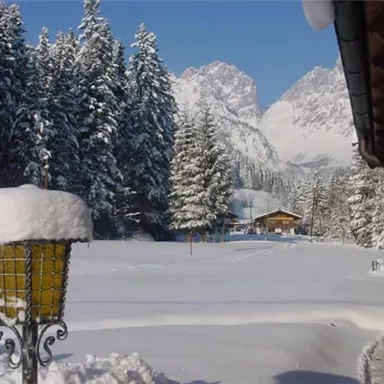 Eine verschneite Landschaft mit hohen, grünen Tannen und majestätischen Bergen im Hintergrund. Ein Wintertag mit strahlend blauem Himmel.