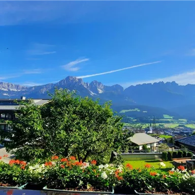 A beautiful view of the mountains with a clear blue sky. In the foreground, colorful flowers and lush green thrive.