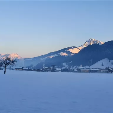 A winter landscape with snow and mountains in the background. A tree stands alone in the fields as the sun rises.