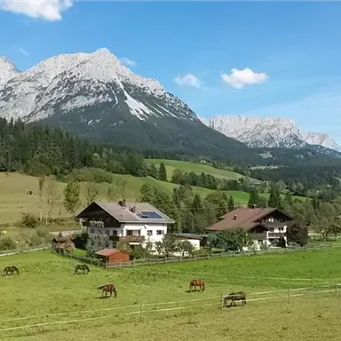 Eine schöne Landschaft mit grünen Wiesen und Bergen im Hintergrund. Auf der Weide grasen mehrere Pferde und in der Nähe stehen einige gemütliche Häuser.
