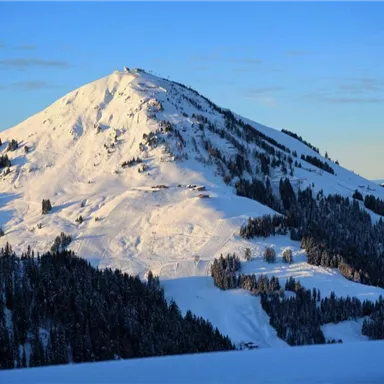 Ein schneebedeckter Berg mit einer klaren blauen Himmel. Im Vordergrund befinden sich geschützte Wälder, die die Landschaft umrahmen.