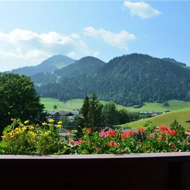 Eine malerische Landschaft mit bunten Blumen im Vordergrund und sanften Hügeln im Hintergrund. Die Berge unter einem klaren blauen Himmel vervollständigen die idyllische Szenerie.