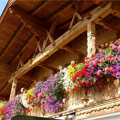 A beautiful balcony railing with colorful flowers in various colors. The wooden structure contributes to the cozy atmosphere.