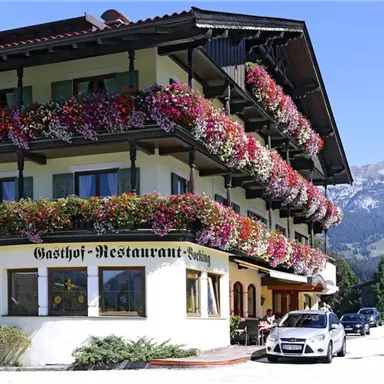 Ein traditionelles Gasthaus mit bunten Blumenstöcken. Im Hintergrund sind Berge und ein blauer Himmel zu sehen.
