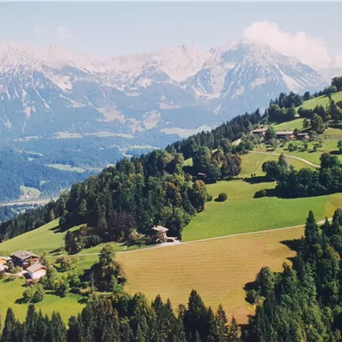 A picturesque mountain landscape with green meadows and forests. Majestic mountains can be seen in the background.