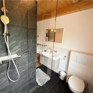 A modern bathroom with a glass shower and a wooden ceiling. There is a toilet and a sink with a mirror.