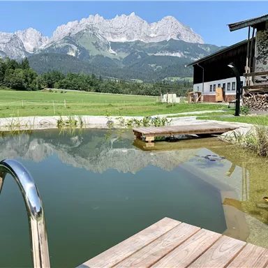 Ein hübscher Pool mit einer Holzterrasse und Blick auf die Berge. Umgeben von grünen Wiesen und einem klaren blauen Himmel.