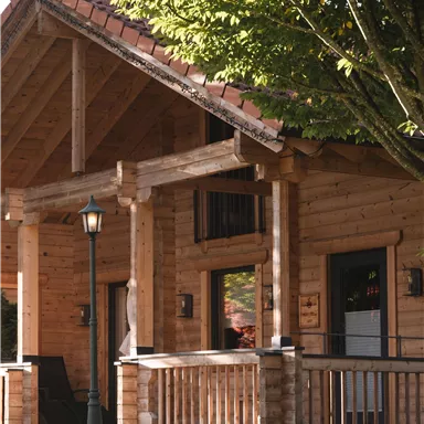 Ein gemütliches, Holzhaus mit einem einladenden Vordach. Im Vordergrund steht eine Straßenlampe und es gibt viel grünes Gras.