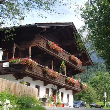 A traditional wooden house with flower boxes and balconies. The surroundings are green and hilly.