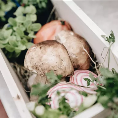 Eine Holzkiste mit frischen Pilzen und buntem Gemüse. Dazu wachsen einige Kräuter.