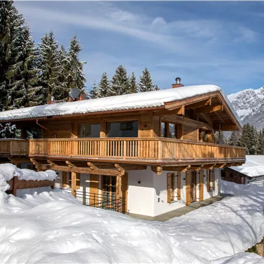 Ein schönes Holzhaus im Schnee, umgeben von hohen Tannen. Im Hintergrund sind schneebedeckte Berge zu sehen.