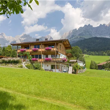 A charming wooden house with colorful flower balconies in a green meadow landscape. In the background, majestic mountains and a clear sky can be seen.