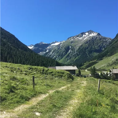 A picturesque path leads through green meadows to the majestic mountains. The sky radiates blue and cloudless.