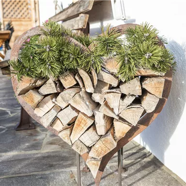Ein herzförmiger Holzstapel, dekoriert mit frischen grünen Tannenzweigen. Die Szene vermittelt eine gemütliche und einladende Atmosphäre.