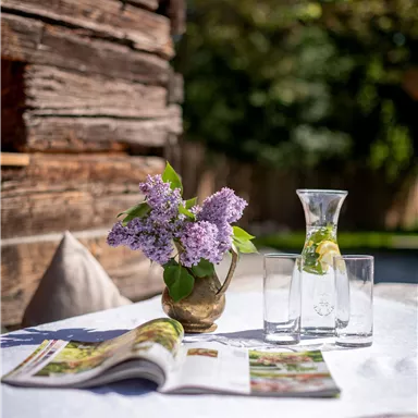 A table with a blooming vase, a carafe, and glasses. In the background, a green environment can be seen.