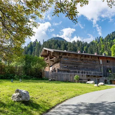 A rustic wooden house surrounded by green meadows and trees. In the background, picturesque mountains and a blue sky can be seen.