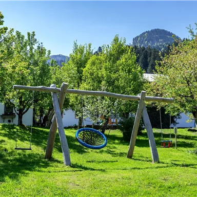 A playground with a swing and a nest swing in a green meadow. In the background, trees and mountains can be seen.