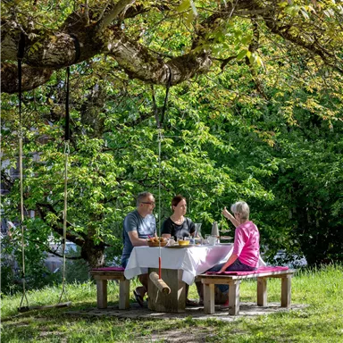 A cheerful group of three people sits at a table outdoors under a tree. They are enjoying a meal in a green, inviting setting.