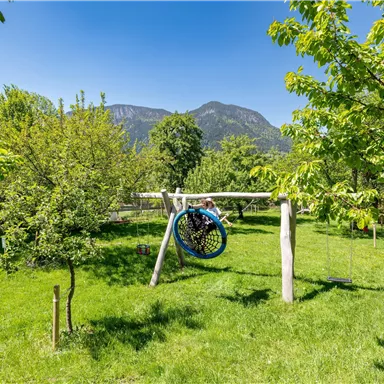 A beautiful garden with a green lawn and several trees. A swing with a tire hangs from a wooden frame.