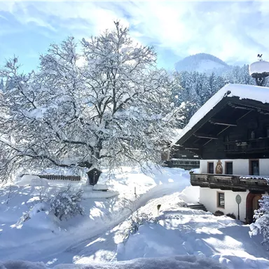 Eine verschneite Landschaft mit einem gemütlichen Bauernhaus. Eine große, winterliche Baumlandschaft umgibt die Szene unter einem klaren blauen Himmel.