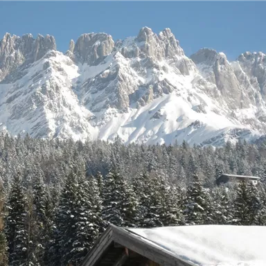 Schneebedeckte Berge mit steilen Gipfeln und tiefgrünen Wäldern im Vordergrund. Der Himmel ist klar und sonnig.