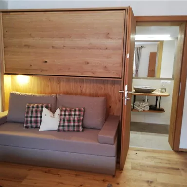 A modern living room with a gray sofa and wooden panels. In the background, a bathroom is visible, which has an elegant style.