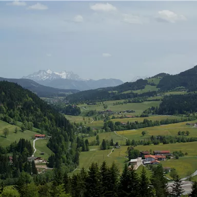 Eine malerische Landschaft mit sanften Hügeln und grünen Wiesen. Im Hintergrund sind schneebedeckte Berge und ein strahlend blauer Himmel zu sehen.